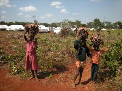 Children collect firewood in Nyarugusu refugee camp, Tanzania, among the tents for newly arrived refugees. Photo by Barbara Borst